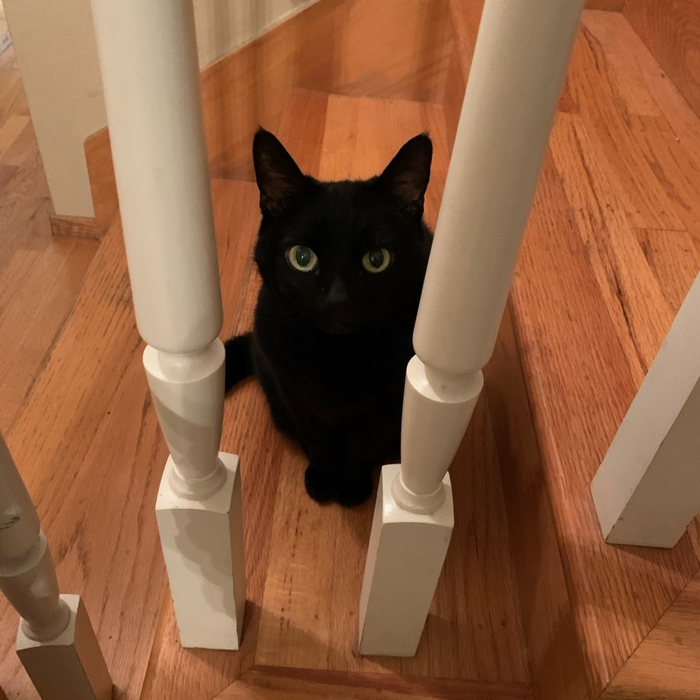 Meet your Posher, Jennifer